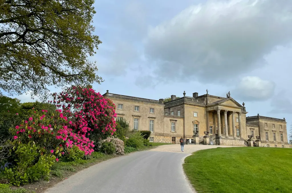 Palladian stone mansion with bright pink rhododendrons beside the drive