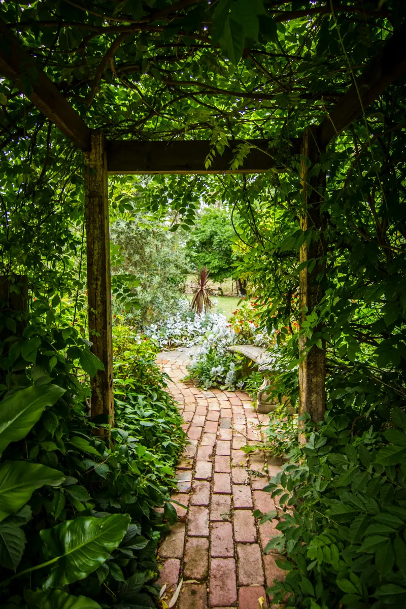 Brick path through a leafy pergola into a walled garden