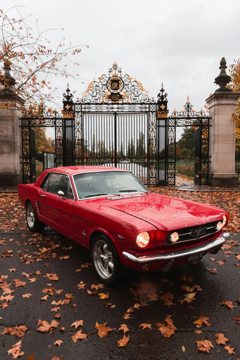 Gleaming classic car before gilded wrought-iron park gates in autumn