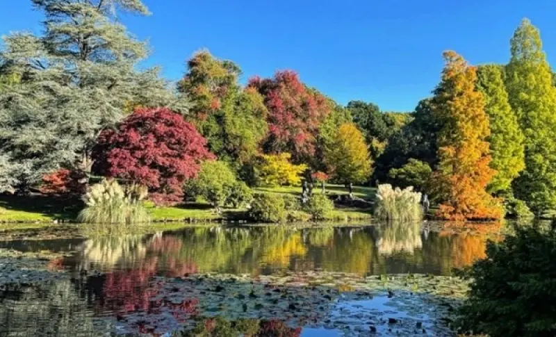 Autumn trees in red and gold reflected in a still lake under a blue sky