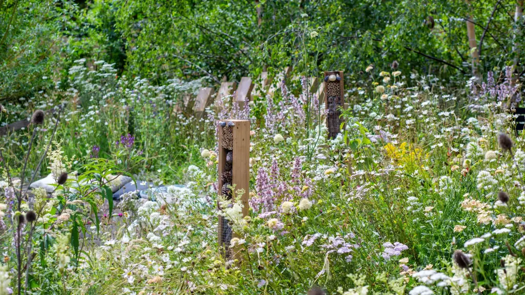 Wildflower meadow in summer with wooden insect hotels among the blooms