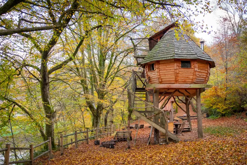 Handcrafted wooden treehouse among autumn trees